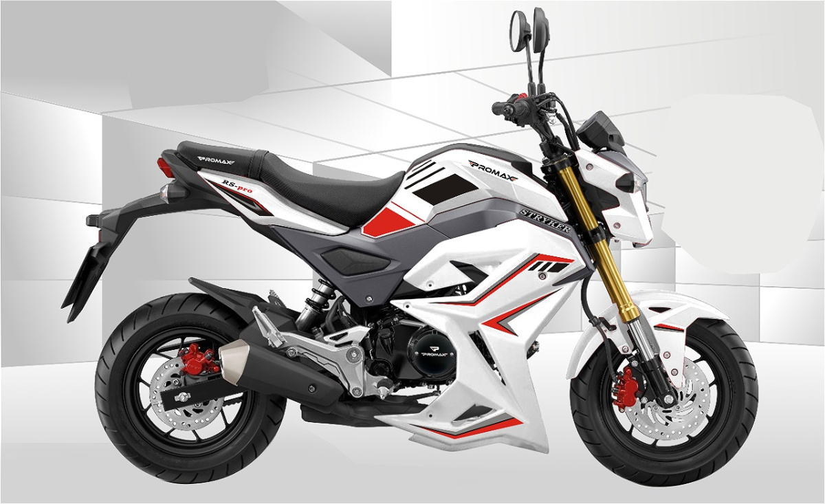 Мотоцикл PROMAX STRYKER 150(49) 2.0